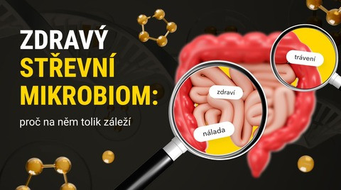 Zdravý střevní mikrobiom: